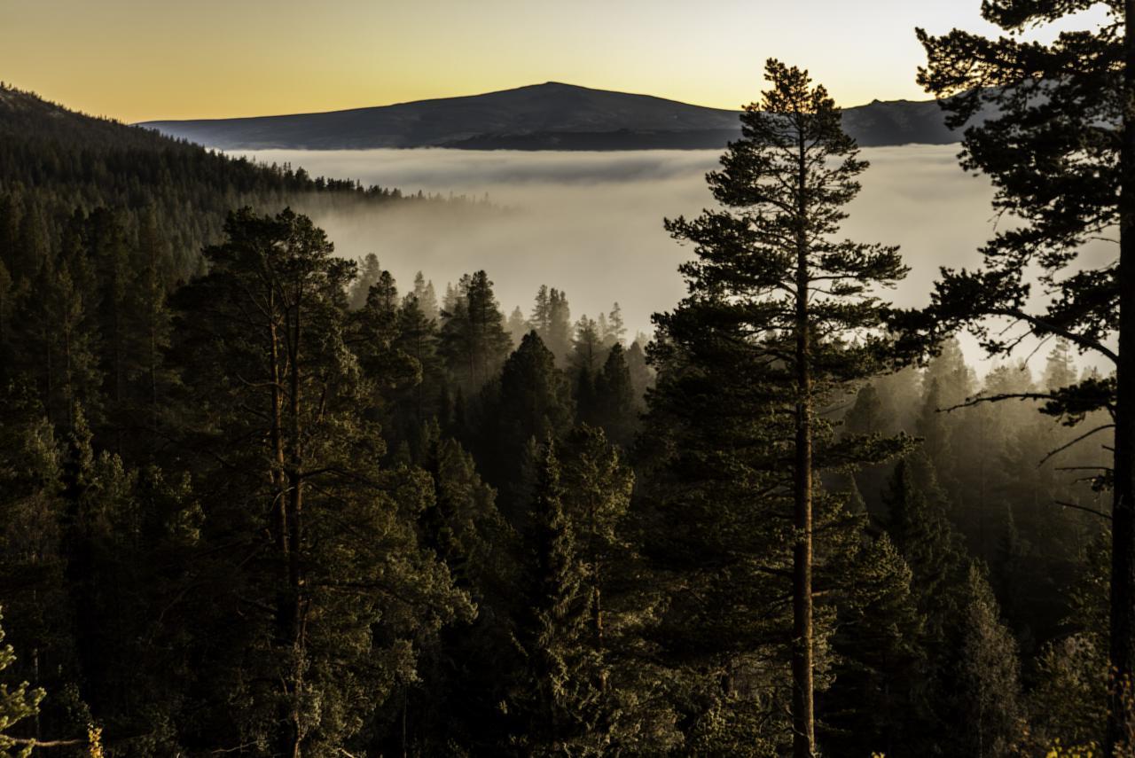 Rondeslottet Hoyfjellshotell 오타 외부 사진